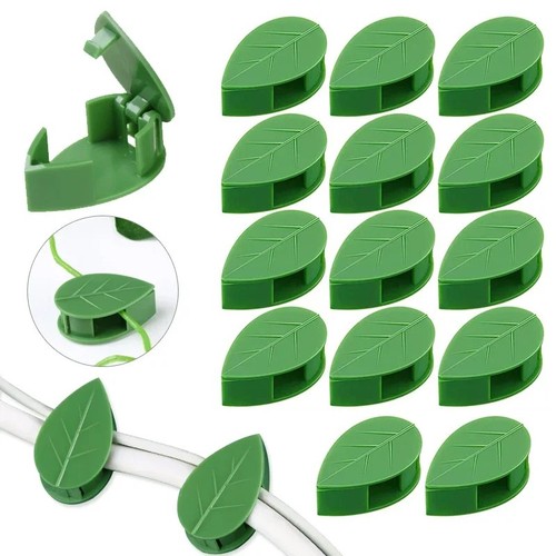 Plant climbing wall - plant, vines