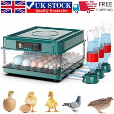 Chicken Incubators for