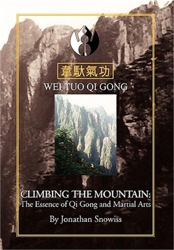 Climbing the mountain - the,