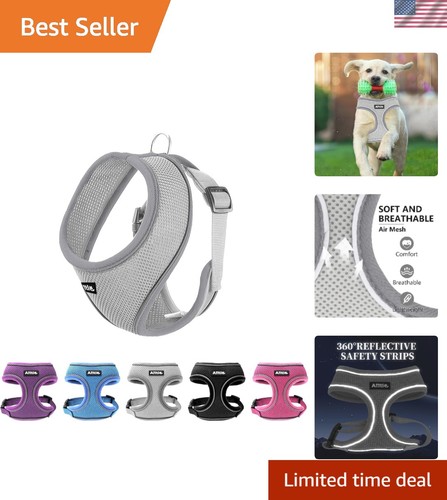 Reflective soft dog - reflective, harness