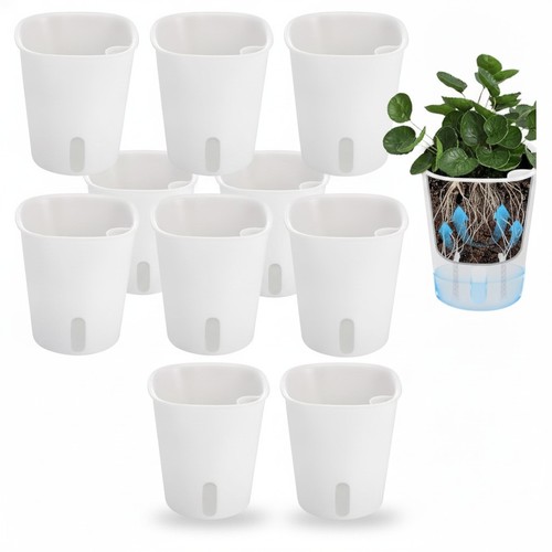 Self watering plant - self, set