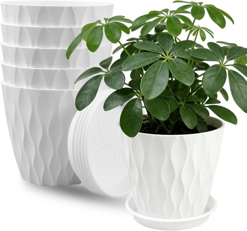 Pack white plastic plant - 6,