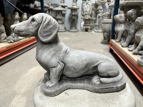 Dachshund sausage dog garden - dachshund,