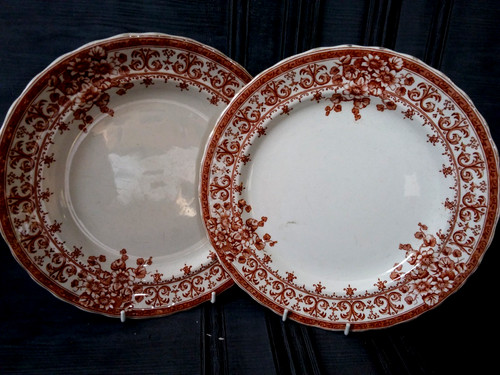 Antique oxford dinner plates - antique,