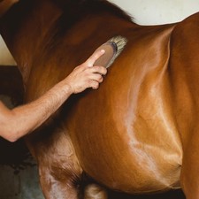 Horse Grooming Brush Set – 2