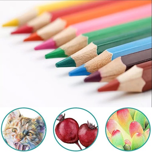 Professional colouring - professional, 24