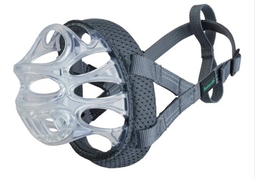 Baskerville invisa basket dog - basket,