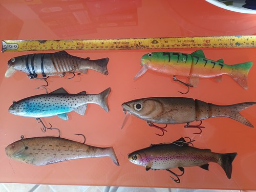 Large pike fishing swim - large,