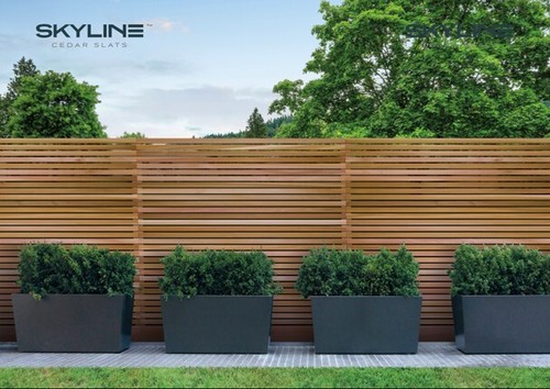 Western red cedar skyline - cedar,