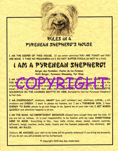 Rules pyrenean shepherd - a, shepherd's