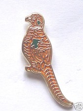 PHEASANT GAME BIRD QUALITY