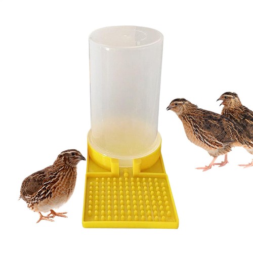 Large capacity quail water - quail,