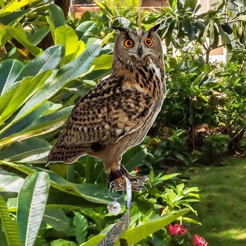 Realistic fake owl decoy - fake,