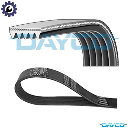 Vribbed belt 5pk1815 for - vribbed,