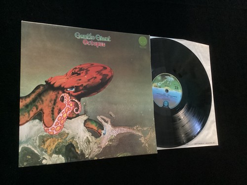 Gentle giant octopus - giant,