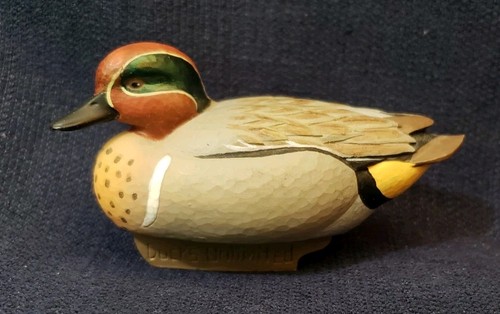 Jett brunet green winged teal - green-winged,