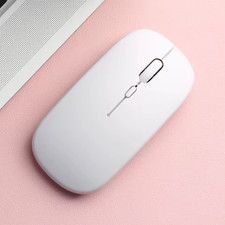 Rechargeable Dual Mode 2.4G