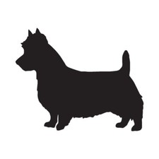 Australian Terrier Dog - Decal