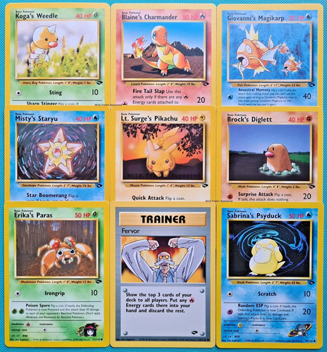 Pokemon gym challenge common - pokemon,