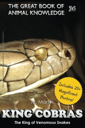 King cobras venomous - king,