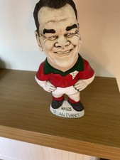 Ieuan Evans Green Collar Grogg