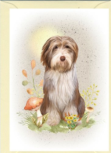 Bearded collie dog - dog, (4"x