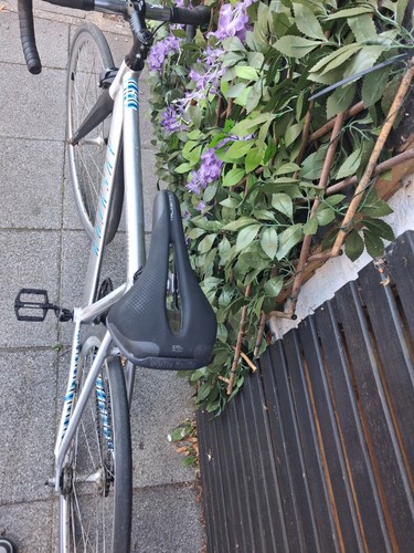 Aventon cordabo 56cm fixed - aventon,