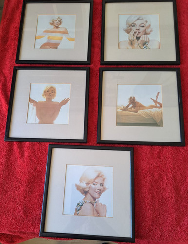 Marilyn monroe the last - monroe,