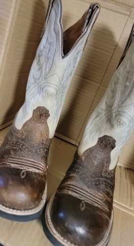 Super cute ariat - ariat, baby