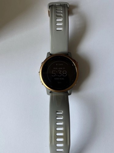Garmin fenix smart - garmin, 6s