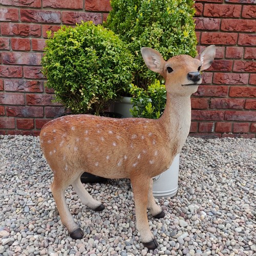Vivid arts large fallow deer - arts,