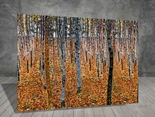 Gustav Klimt Birch Forest I