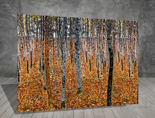 Gustav klimt birch - birch, i