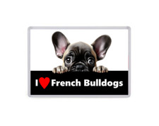 I Love French Bulldogs  - Dogs