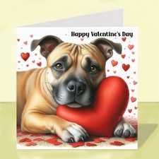 Staffordshire Bull Terrier Dog