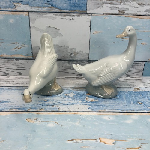 Llandro nao goose - x,