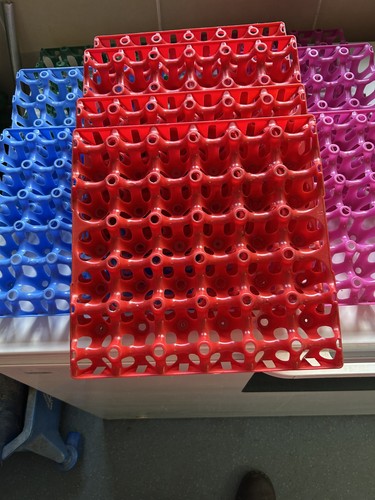 Plastic egg trays holds 30 - egg, trays.holds