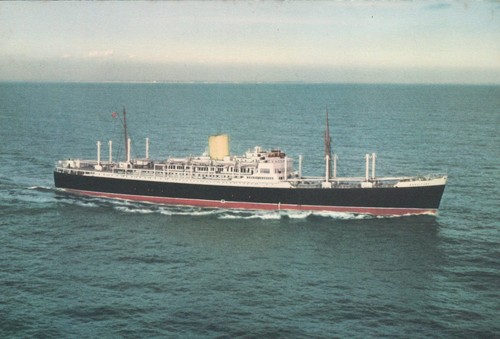 Vintage new zealand shipping - vintage,