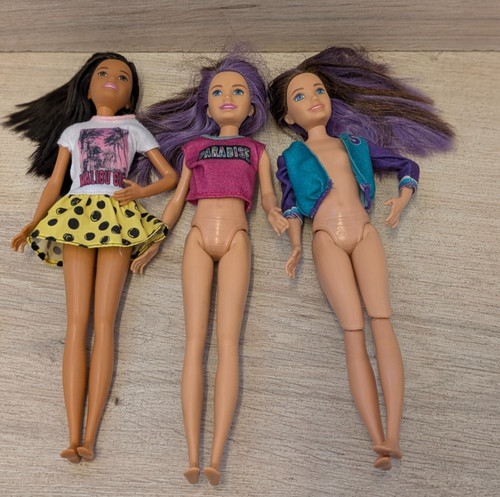 Barbie skipper doll bundle job - barbie,