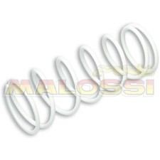 Reinforced Compression Spring