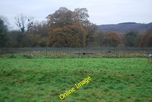 Photo 6x4 pheasant pens - 6x4,