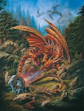 Dragons of the Runering 1000