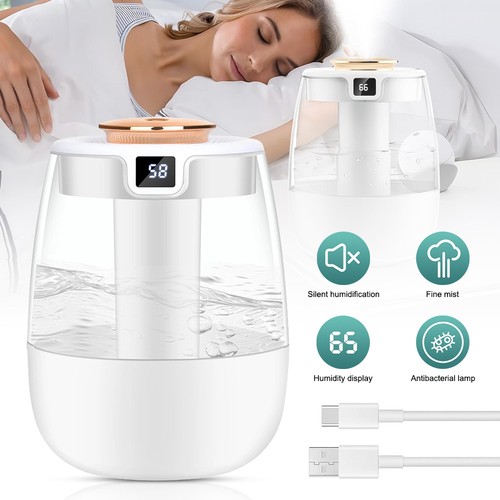 Usb humidifier dual nozzle - dual,