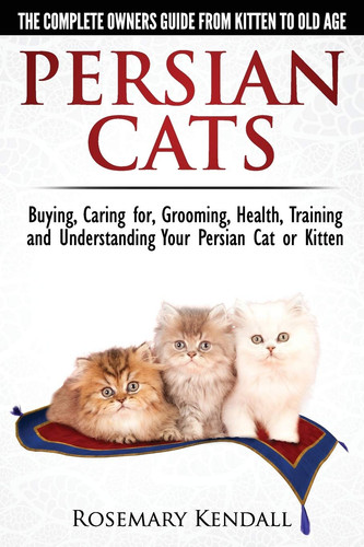 Persian cats the - persian,