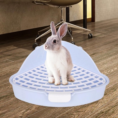 Medium rabbit triangle potty - medium,