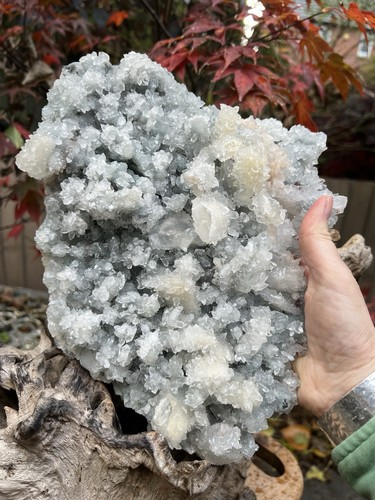 Apophyllite sparkly pointed - apophyllite,