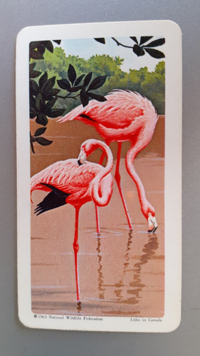 Brooke bond canada - canada, tropical