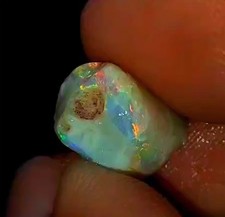 Potential Opalised Marine