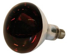 INFRA RED HEAT BULB LAMP RUBY