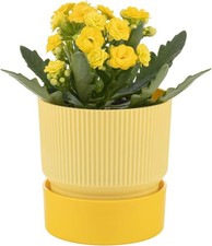 alqua 19CM Self Watering Plant Pots – Yellow Plastic Flower Pots with Drainag